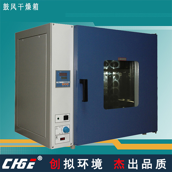 鼓風干燥箱